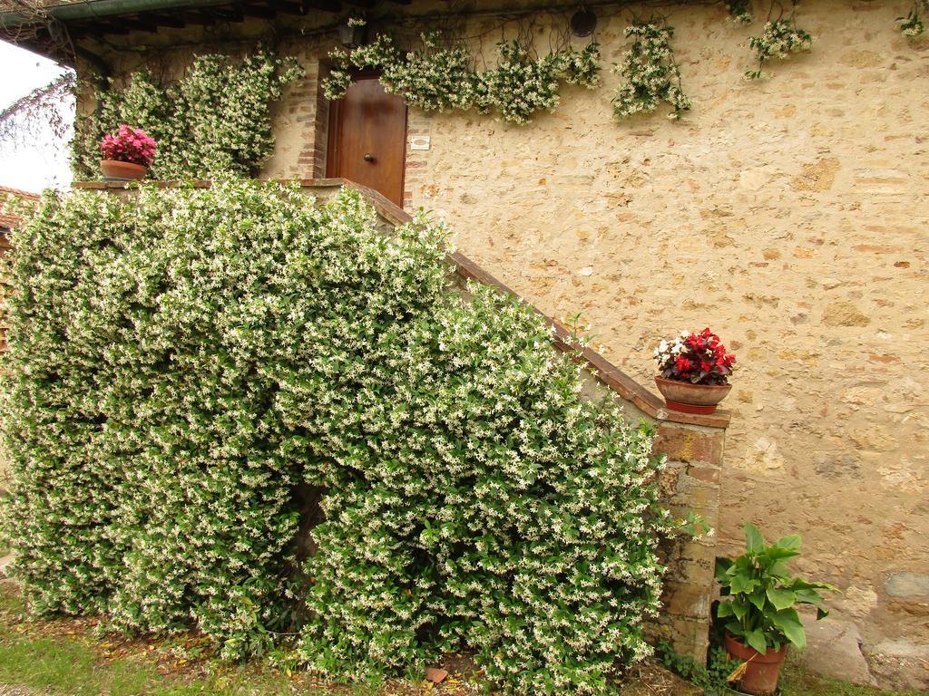 فيلا Agriturismo Podere Cappella سان جيمينيانو المظهر الخارجي الصورة